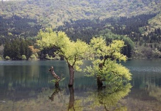 北竜湖 クチコミ アクセス 営業時間 飯山 栄村 フォートラベル