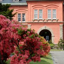 敷地内には色とりどりの花が咲いています。