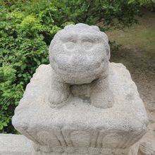 どこにもいるヘチ可愛い