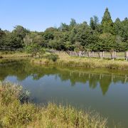 標高６０mにある「できてしまった」湿原