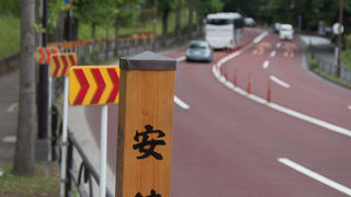 登りはだらだら長いしかなりキツイが緑豊か