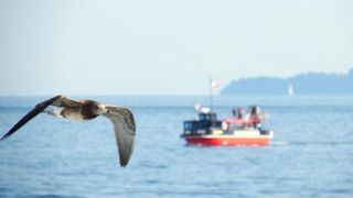 初島～熱海 イルドバカンスプレミアの船の旅