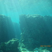 日差しがきれい