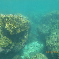 リーフの端はダイナミックな地形