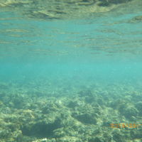 棚の上はこんな感じ