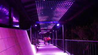 寒いけれど、夜景が綺麗でテンション上がりました！