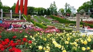 子供も大人も楽しめるお散歩コース