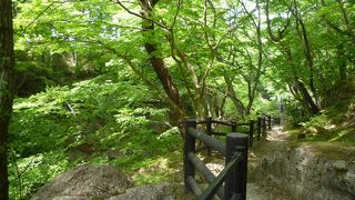 晴れた日の散策がおすすめ