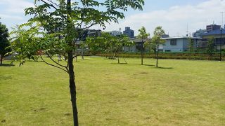 隠れた芝桜の名所？　東京都下水道局鮫洲ポンプ所雨水貯留池の上に整備された公園