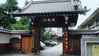 日蓮宗本山巡り～瑞輪寺