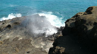 意外と　潮が吹いていて　見れてラッキー