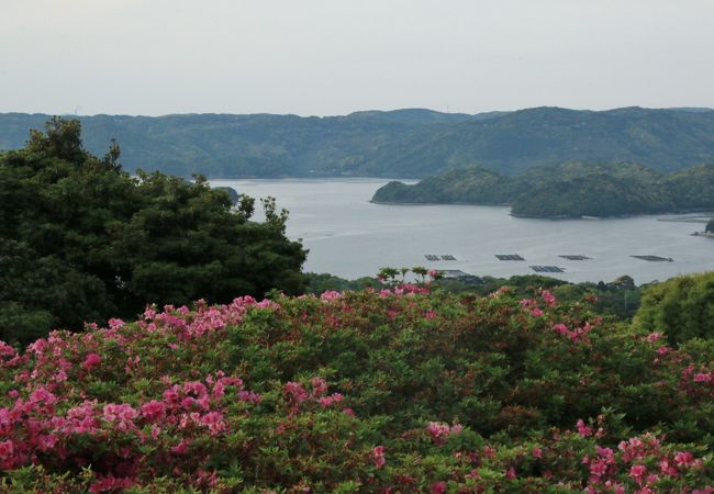 ツツジ越しに九十九島がのぞめます 