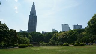 都心のど真ん中に広がるオアシス