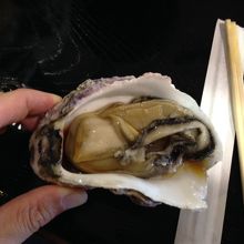 大きな岩ガキ。