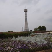 私の町・加古川と周辺　part7　(2)　 ひまわりの丘公園を散歩