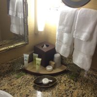 シャンプー、コンディショナー、ローション。2人で1つでした。