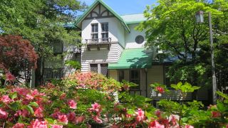 今年（2015年）を見逃すとしばらく見られなくなる