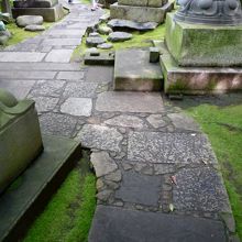 庭園の敷石