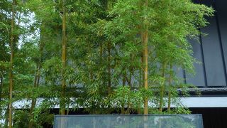 建物も庭園も作品も楽しめる美術館