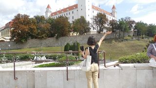 シンプルな外観