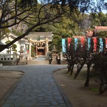 松陰神社で撮影