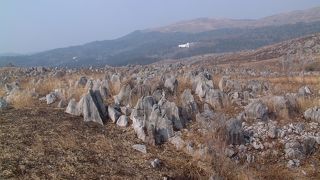 北長門海岸国定公園と萩　(16)　秋吉台（あきよしだい）でカルスト台地を楽しむ