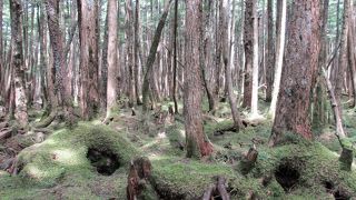 春・夏・秋と楽しめる静かな湖