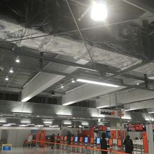 朝4時すぎるとあちこち動き始めました