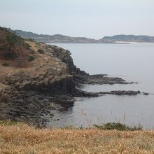 牧崎風の公園で撮影