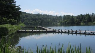 毎年行っています