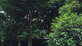 緑道沿いの小さな公園