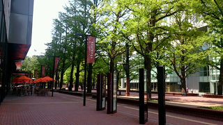 たくさんのレストランが入っています