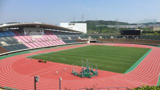 新緑の季節もいいですよ