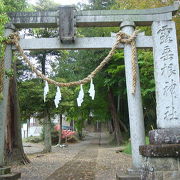 唐沢山の麓の神社。