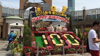 開園 100周年を迎えた動物園。