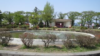 大館市の桜の名所