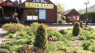 見る･食べる･体験する所です