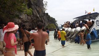 タイのプーケット島　(13)　モンキービーチを見学、砂浜にお猿がいっぱい