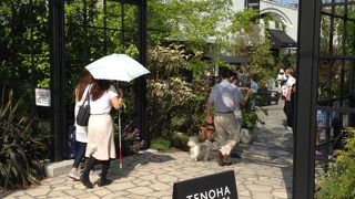 新しく生まれ変わったテノハ