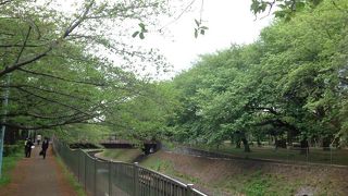 杉並区のオアシス