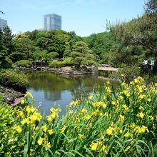 日本庭園も良かったです