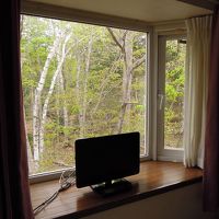 部屋のすぐそばに森があり、リスが見えることも。