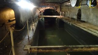 パリにまで来てこれを見るか