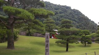 お殿様が眺めた目線で桜島を見る！