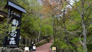 ここも東京！ ～ 自然に囲まれて過ごす休日