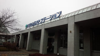 なぜだか牡蠣小屋があります