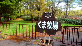 こじんまりとした熊牧場