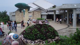 沖縄の海を水族館で