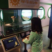 ソーラーハンター