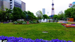 花々が咲き誇り綺麗な公園